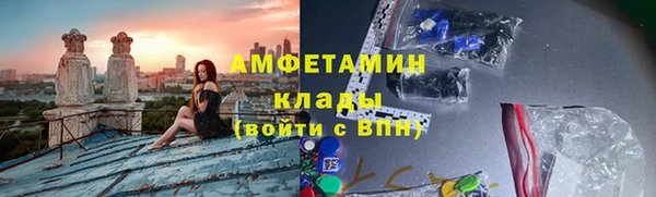 индика Новодвинск