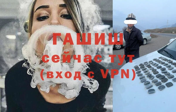 индика Новодвинск