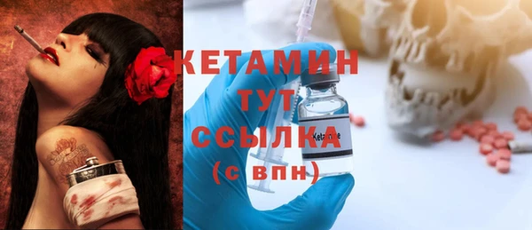 индика Новодвинск
