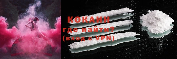 индика Новокубанск
