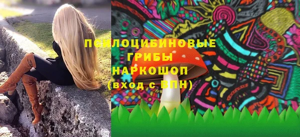 индика Новодвинск