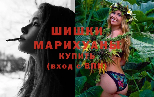 индика Новокубанск