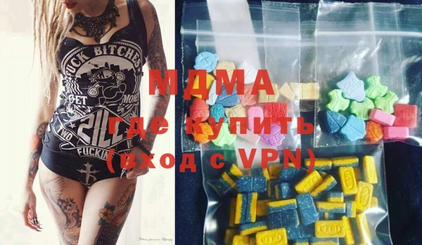 индика Новодвинск