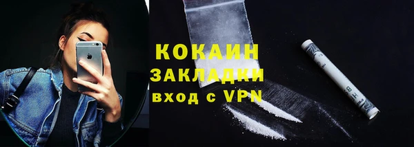 индика Новодвинск