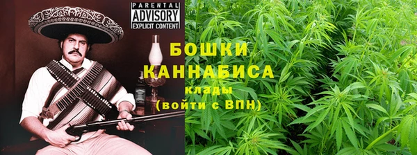 индика Новокубанск