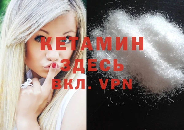 индика Новодвинск