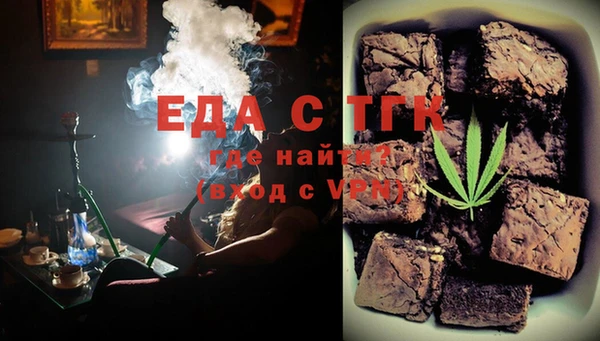 индика Новодвинск