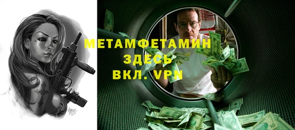 индика Новокубанск