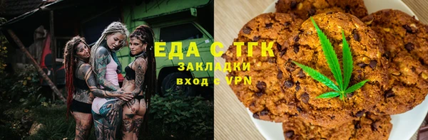 индика Новокубанск