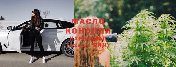индика Новодвинск