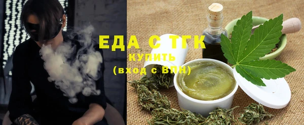 индика Новодвинск