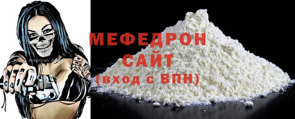 индика Новодвинск
