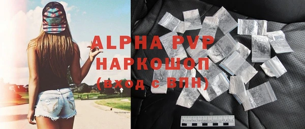 индика Новодвинск