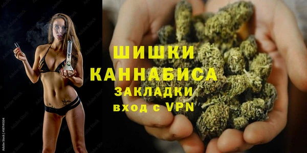 индика Новокубанск