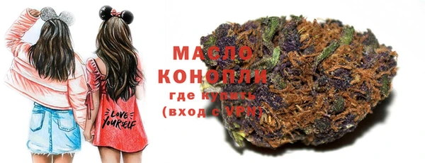 индика Новодвинск