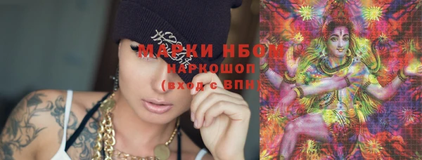 индика Новокубанск