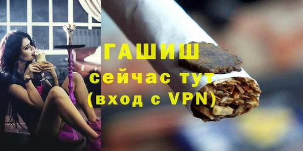 индика Новодвинск