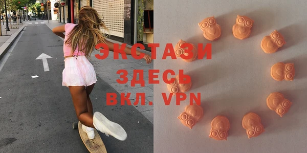 индика Новокубанск