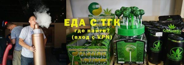 индика Новокубанск