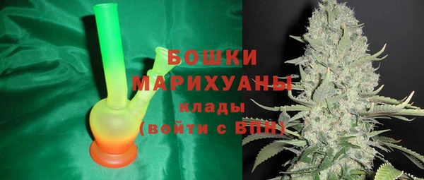 индика Новодвинск