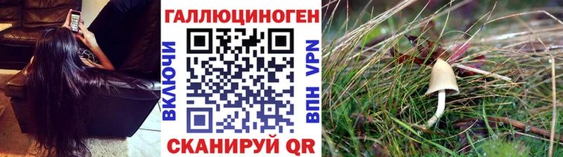hydra маркетплейс  Бавлы  Псилоцибиновые грибы Psilocybe 